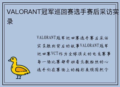 VALORANT冠军巡回赛选手赛后采访实录