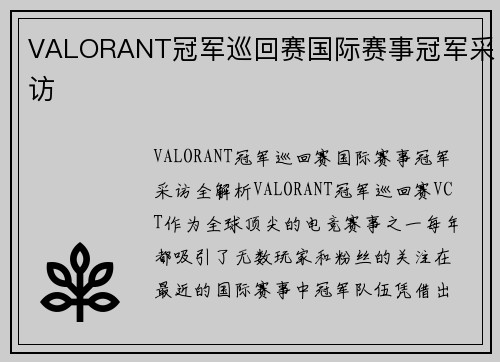 VALORANT冠军巡回赛国际赛事冠军采访
